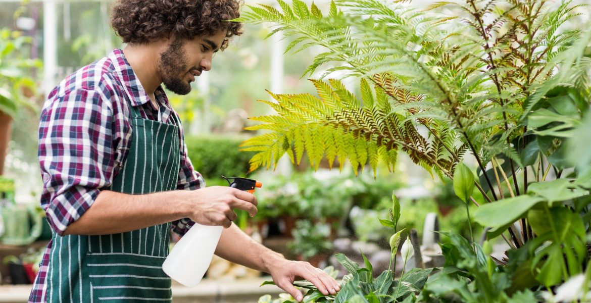 Male gardener spraying water on plants