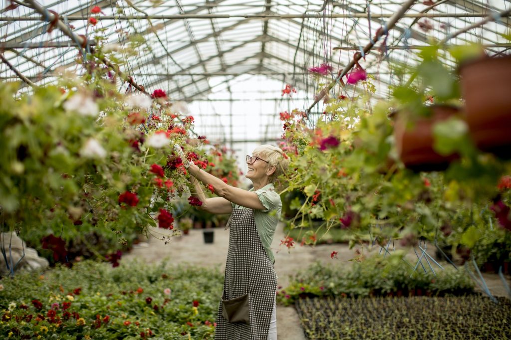 Senior woman working in flower garden